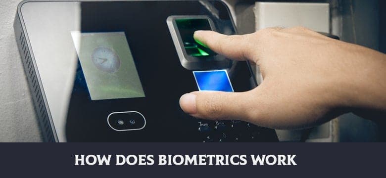 How Does Biometrics Work