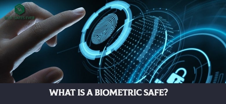 What Is A Biometric Safe?